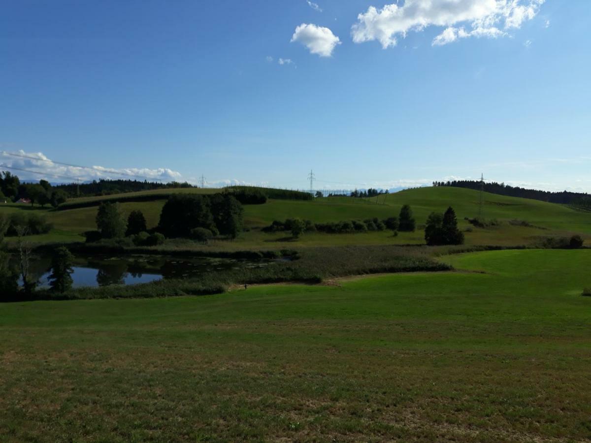 Schoene Einzimmer Wohnung Zwischen Bodensee Und Allgaeu Нойкирх Экстерьер фото